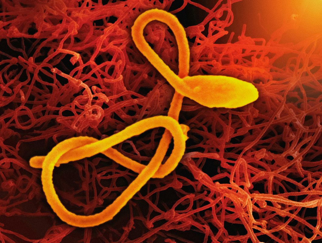 Bienestar y prevención de parasitosis
